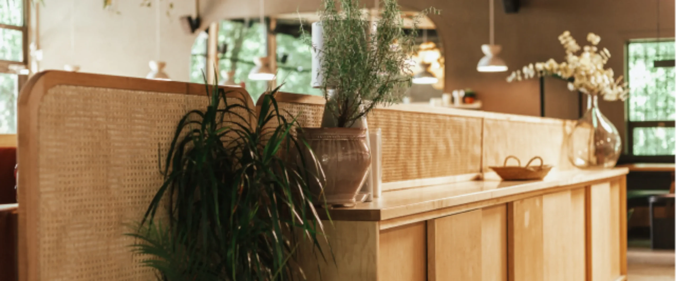 A stylish Toronto interior with plants, wood accents, and custom furniture, showcasing the natural charm of live edge tables.