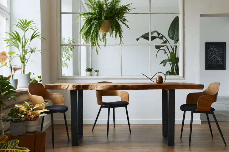 Live edge dining table in Toronto with natural wood grain and black steel legs, surrounded by modern chairs and indoor plants.